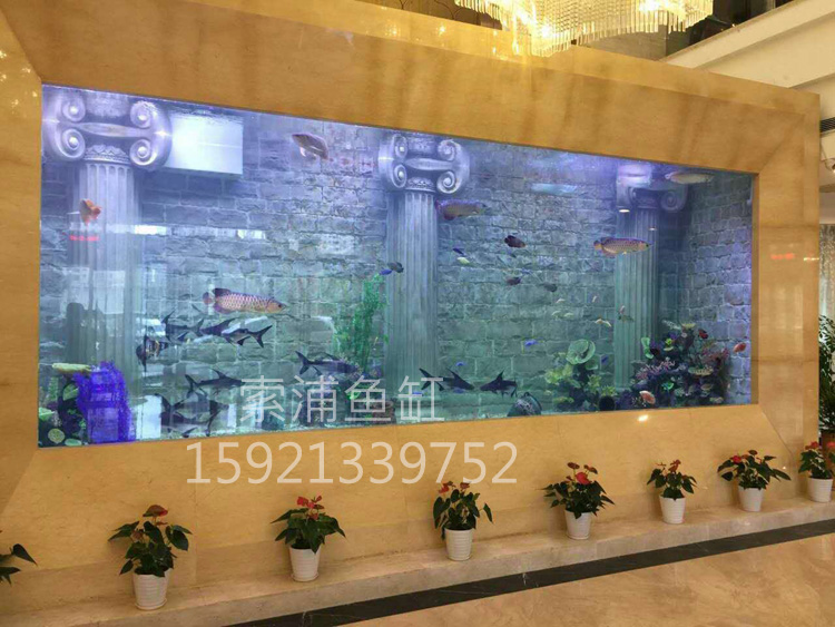上海康桥路别墅会所售楼中心大型亚克力鱼缸《遗落的文明》