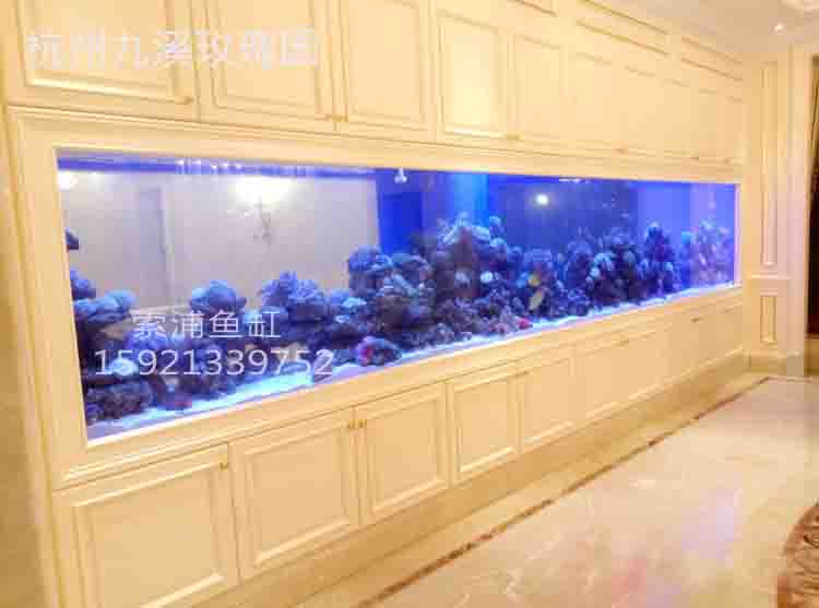 2016年11月索浦鱼缸工程实例杭州九溪玫瑰园7米镶嵌式隔断珊瑚鱼缸