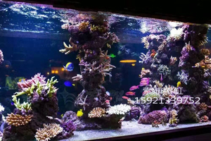 在鱼缸/水族箱制作过程中对材料的选择有什么样的要求?
