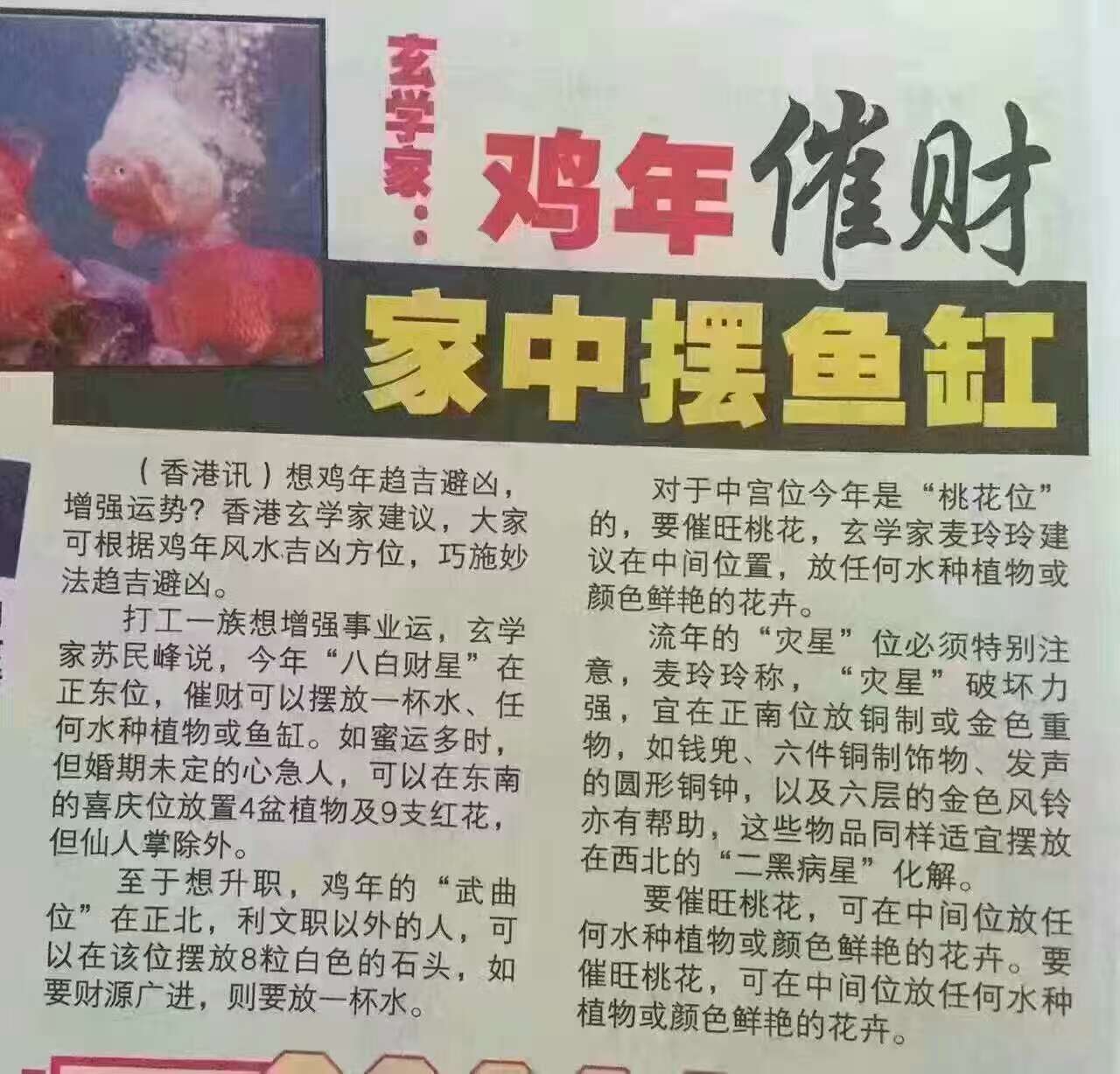 香港玄学家:鸡年催财-家中摆鱼缸